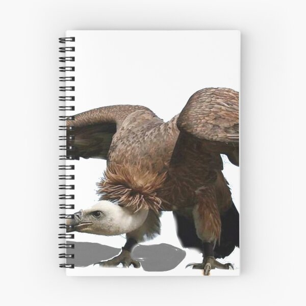 Item preview, vulture designed and sold by josesouza.
