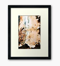 Southwest Appeal Framed Print