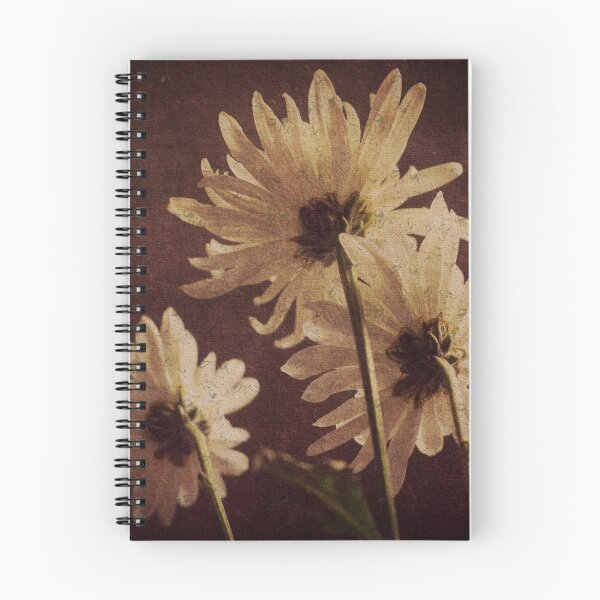 Item preview, Daisies designed and sold by Dannyboy2247.