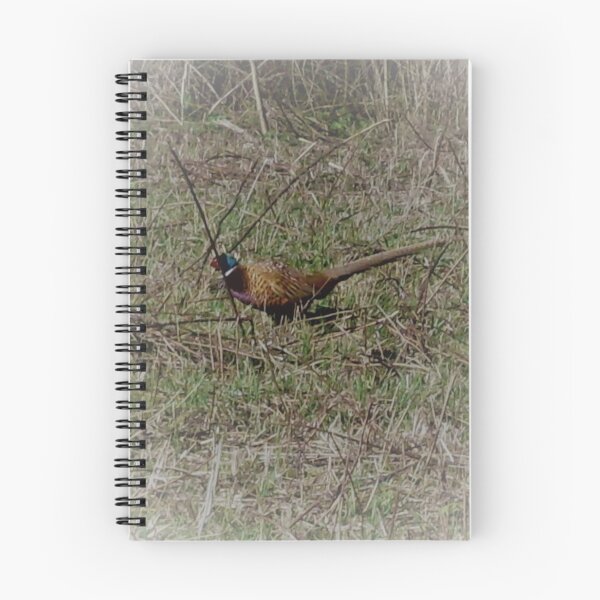 Item preview, Pheasant in the Valley designed and sold by Megan0418.