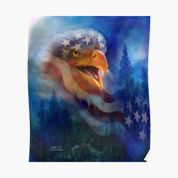 American patriotic eagle, illustration, artwork, patriot eagles