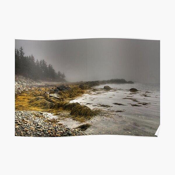 Morning Fog Poster