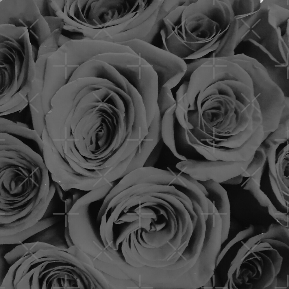 "Black and White Romantic Roses " by AlexandraStr Redbubble