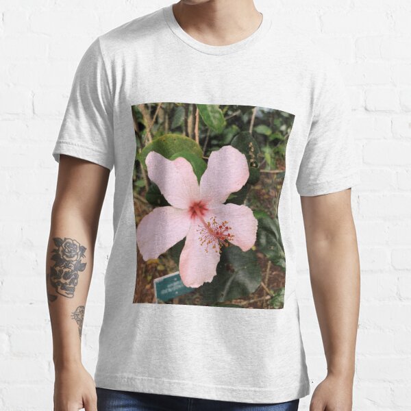 Pink Hawaiian Hibiscus Flower T Shirt For Sale By Alexandrastr