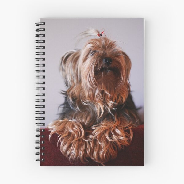 Item preview, Yorkie designed and sold by Alyce Taylor.