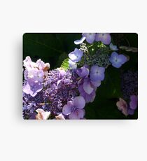 Morbihan Canvas Print