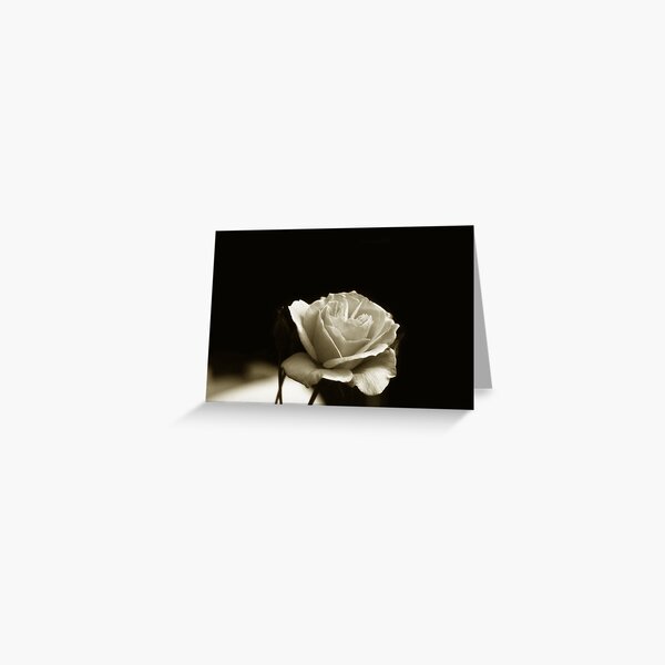Sépia Greeting Card
