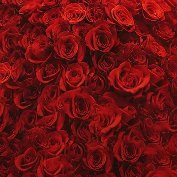 Artwork thumbnail, Red Roses by Leah Flores