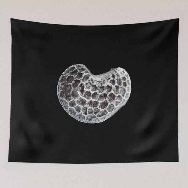 Item preview, Poppy seed under the microscope designed and sold by SDym Photography.