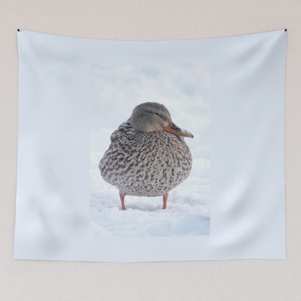 Item preview, Duck in snow designed and sold by SDym Photography.