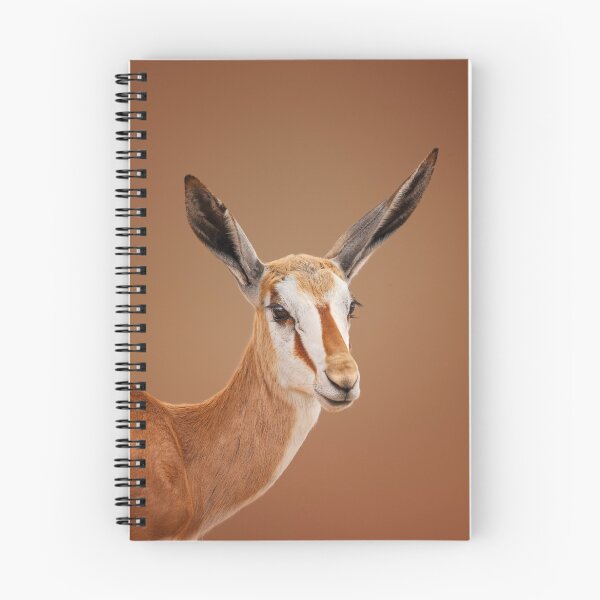 Item preview, Springbok portrait designed and sold by Johan Swanepoel.