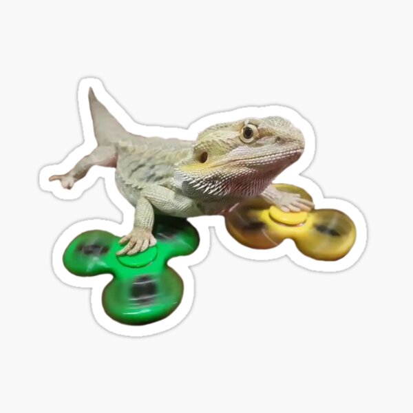Cool Beardie Sticker