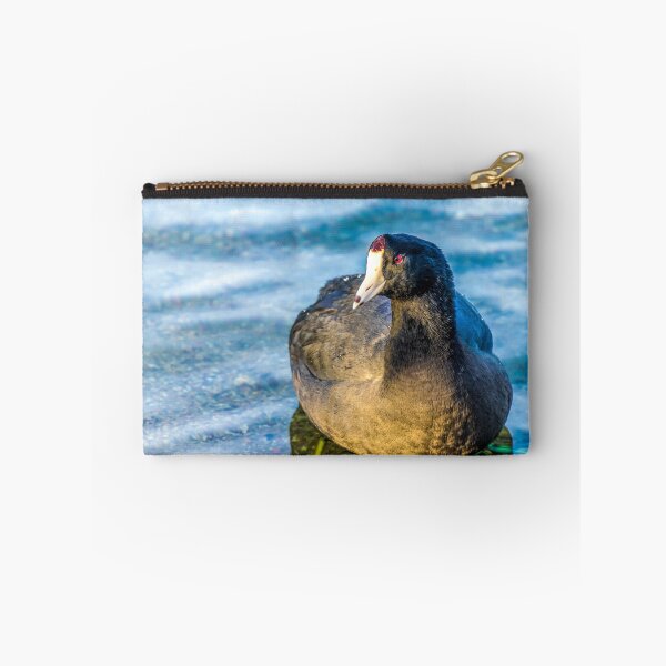 Item preview, American Coot designed and sold by Karen Szatkowski.