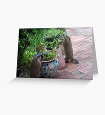 Inspection in the produce aisle Greeting Card