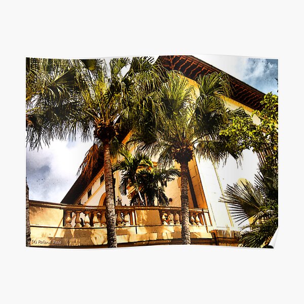 Palms and Coconut Trees Poster