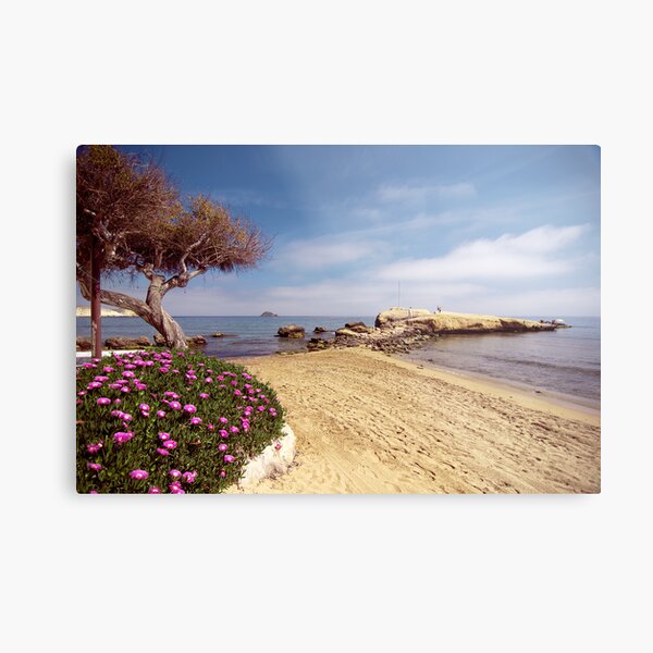 San Juan de los Terreros Metal Print