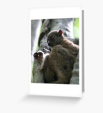 Sleepy Sportive Greeting Card