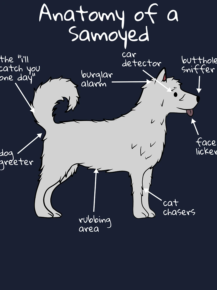 Dog Anatomy Samoyed | Baby One-Piece