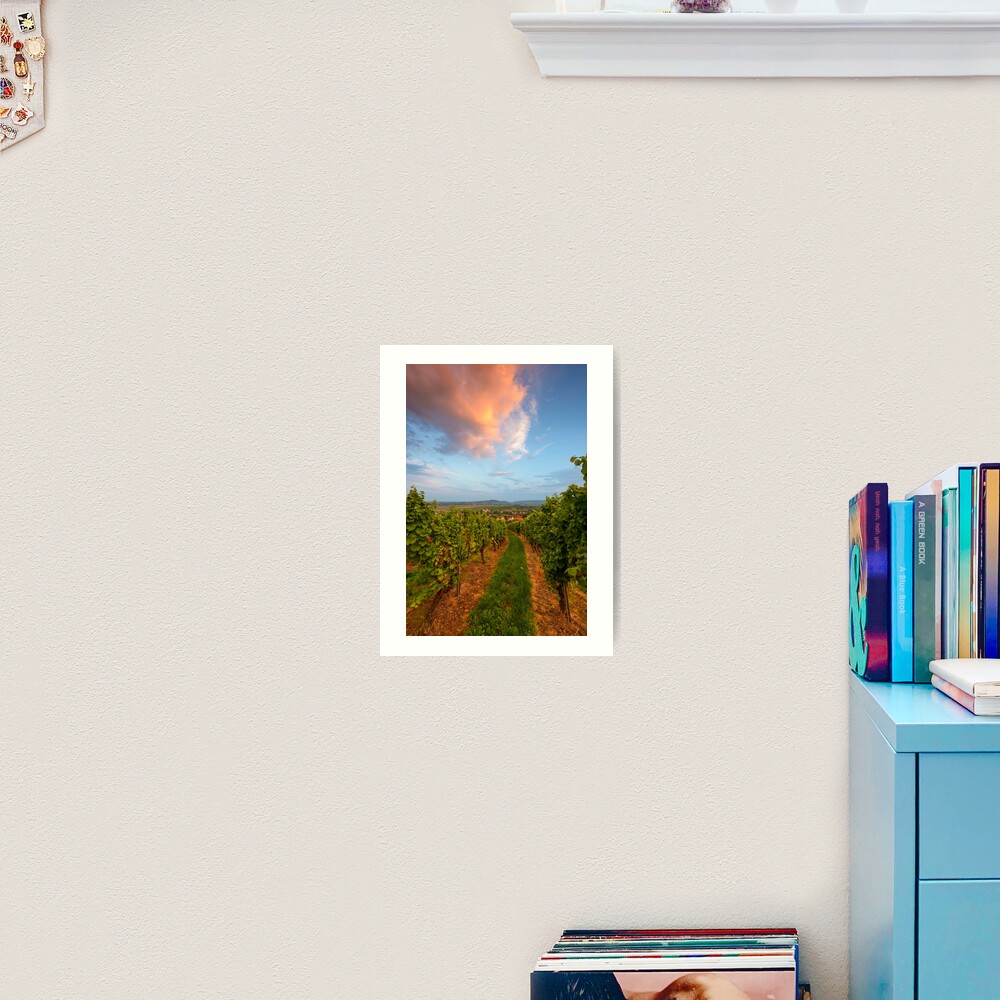 Impression artistique « Dans le vignoble de Wangen»