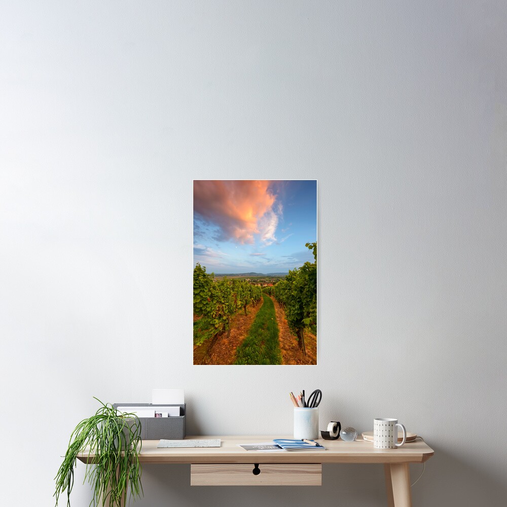 Poster « Dans le vignoble de Wangen»
