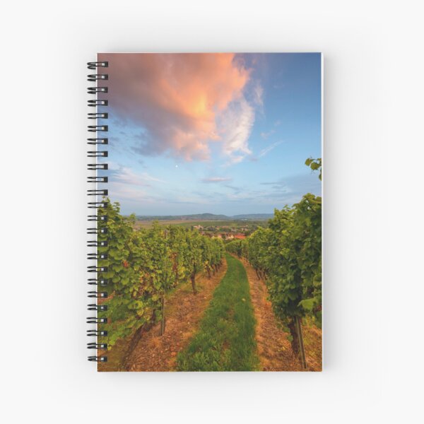 Dans le vignoble de Wangen Cahier à spirale