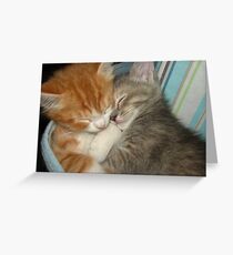 Sleep Tight Greeting Card