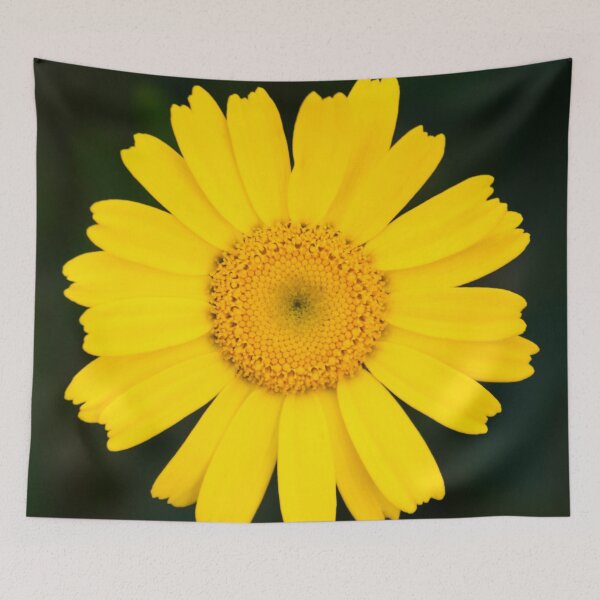 Item preview, field flower designed and sold by TessAndre.