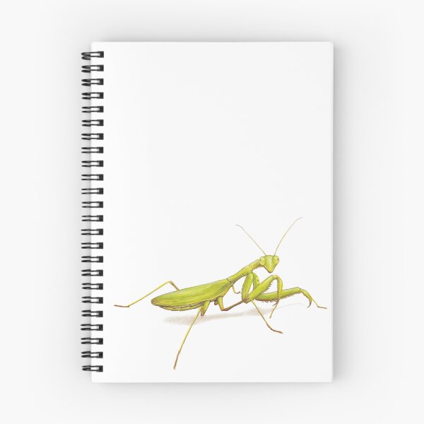 Item preview, Praying Mantis designed and sold by Lars Furtwaengler.