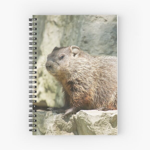 Item preview, Ground Hog Day designed and sold by EugeJ.
