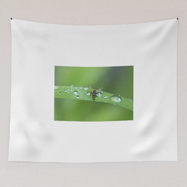 Item preview, Dew Drops and Fly designed and sold by AnnDixon.
