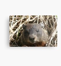 You still here! Metal Print