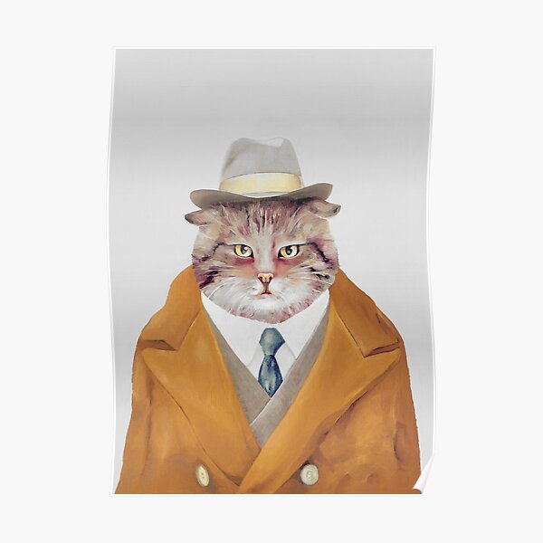 cat in coat