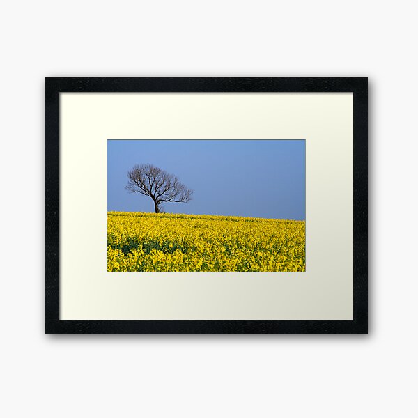 Study in Blue and Yellow, Lincolnshire Framed Art Print