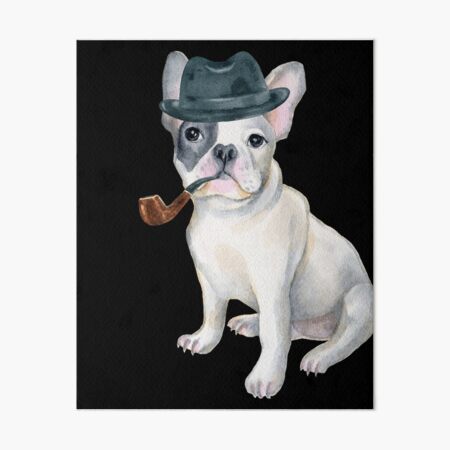 frenchie dog hats
