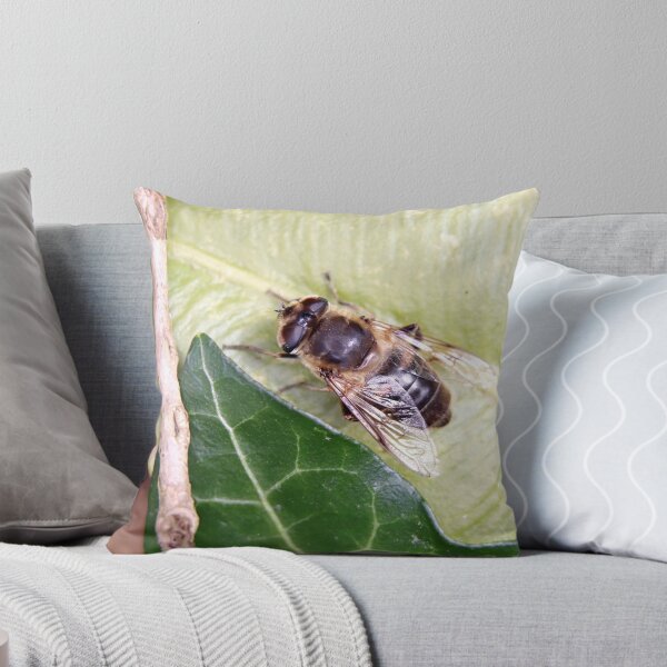 Item preview, Drone or Hoverfly designed and sold by BryanDevon.