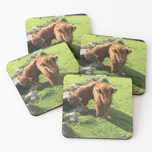Item preview, Scottish Highland Cattle Calves 1770 designed and sold by SaarelaHighland.