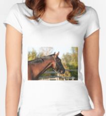 Lincoln - NNEP Ottawa, Ontario(view large) Women's Fitted Scoop T-Shirt