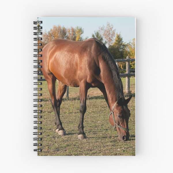 Item preview, Lincoln - NNEP Ottawa, Ontario designed and sold by Tracey  Dryka.