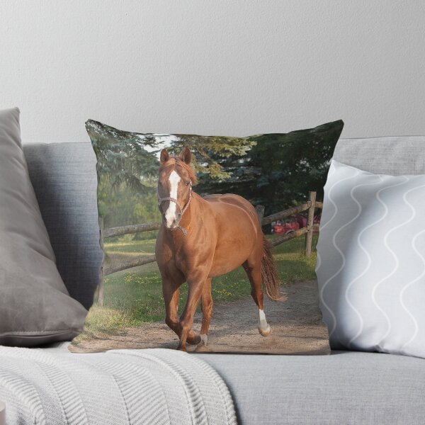 Item preview, Chief - NNEP Ottawa, ON designed and sold by Tracey  Dryka.