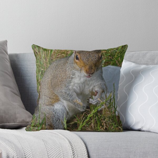 Item preview, Abuse from a squirrel designed and sold by Sandra Willis.