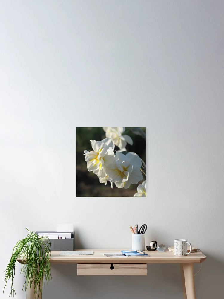 Thumbnail 2 of 3, Poster, Spring has sprung! designed and sold by Patsy Smiles.