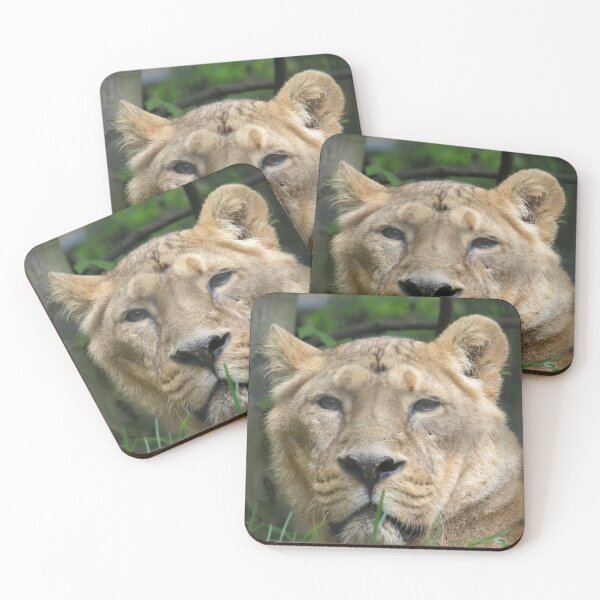 Item preview, Proud Lioness designed and sold by BsPhotographs.