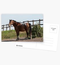 Patch - NNEP Ottawa, ON Postcards