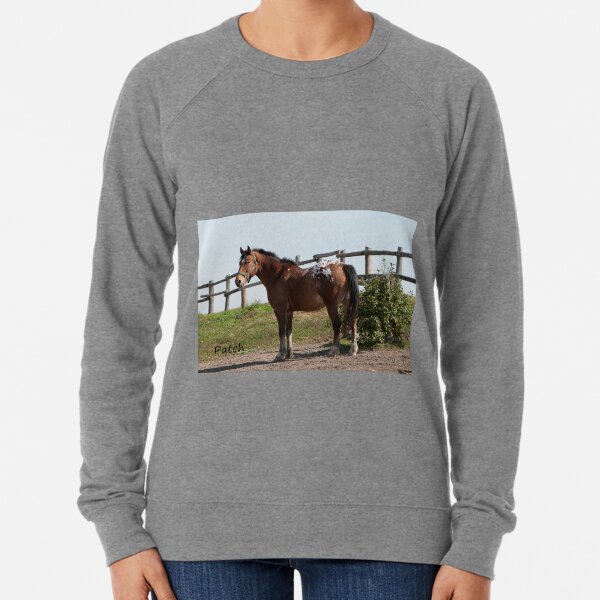Patch - NNEP Ottawa, ON Lightweight Sweatshirt
