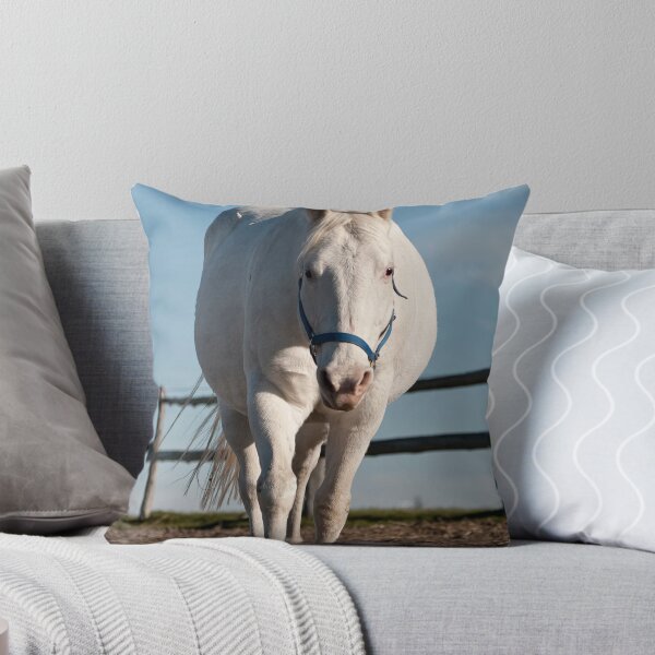 Item preview, Thomas - NNEP Ottawa, ON designed and sold by Tracey Dryka.