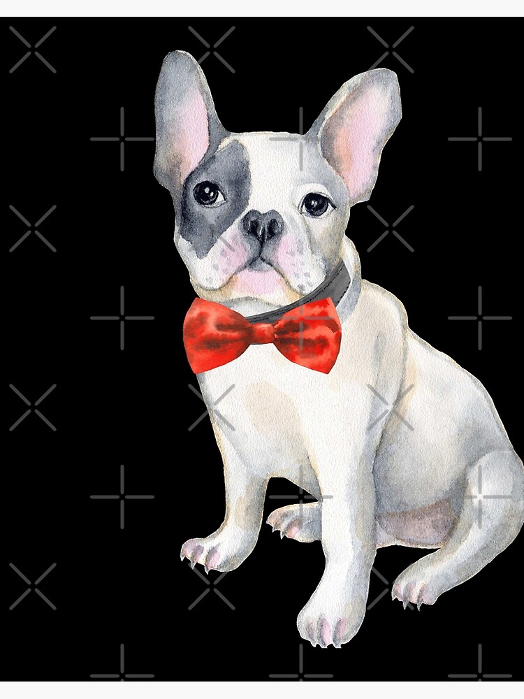 French bulldog sale bow tie collar