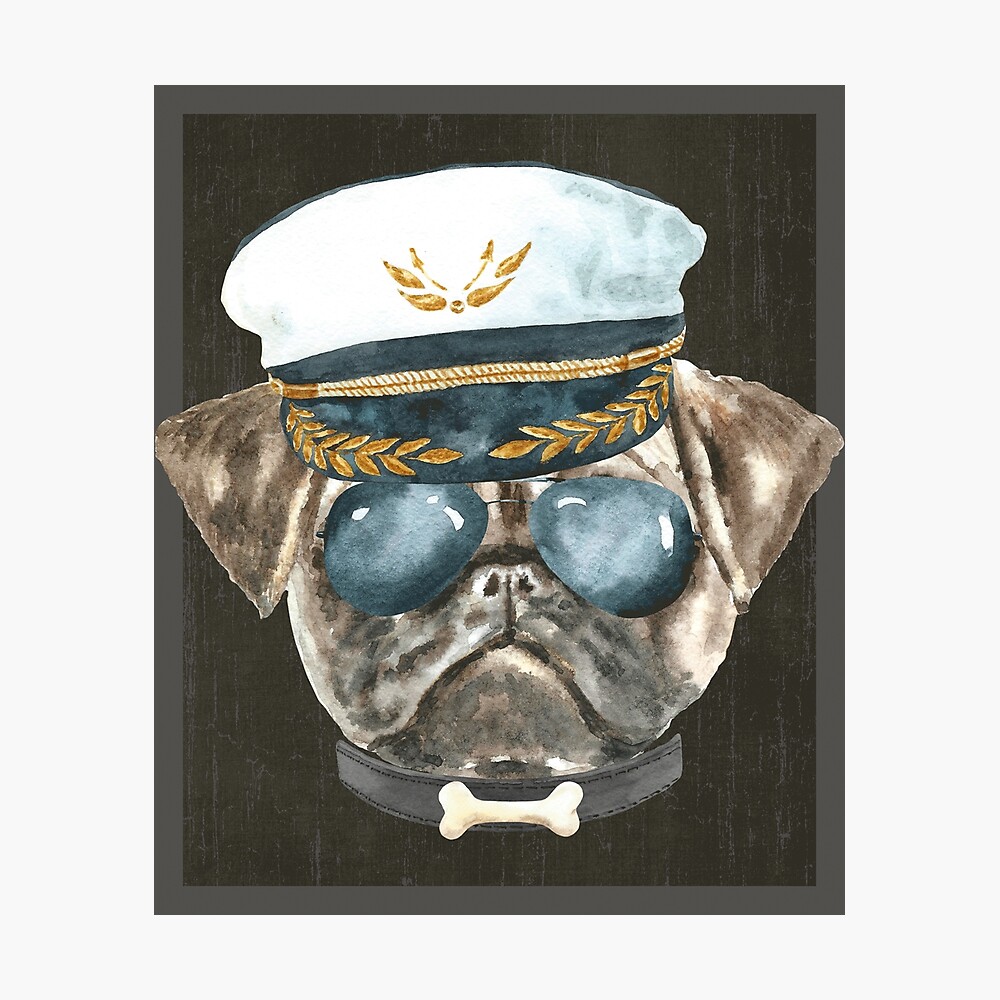 dog captain hat