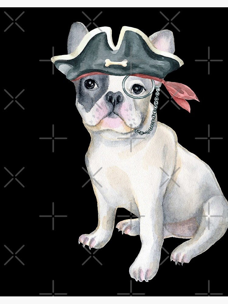 Pirate hat for discount dogs