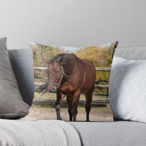 Item preview, Lincoln - NNEP Ottawa, Ontario designed and sold by Tracey  Dryka.