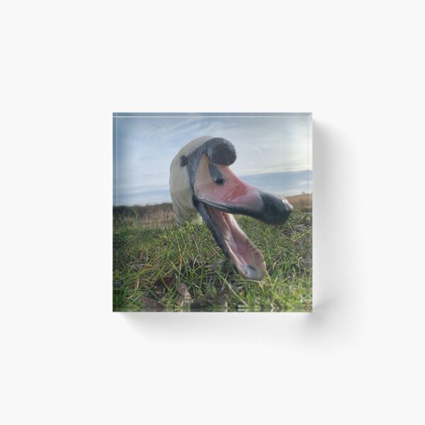 Item preview, Swan Peck designed and sold by Narrowboatgirl.